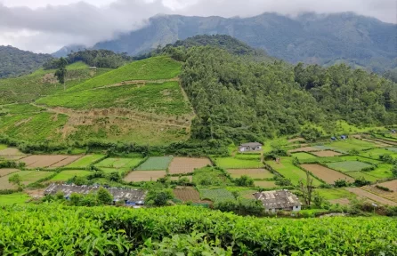 Vattavada Munnar