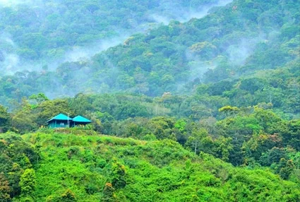 Pampadum Shola National Park