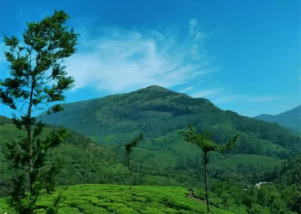 Anamudi Peak