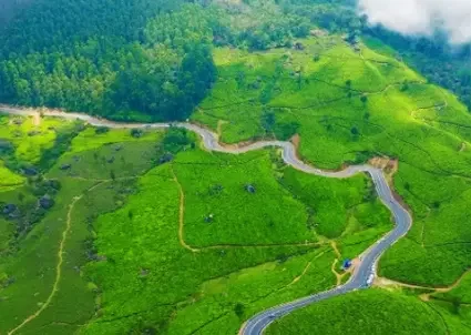 Gap Road in Munnar