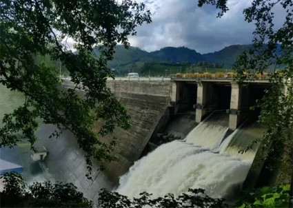 Mattupetty dam Munnar