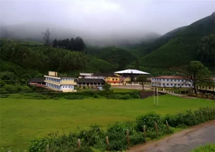 Tea Estate in Munnar, Kerala