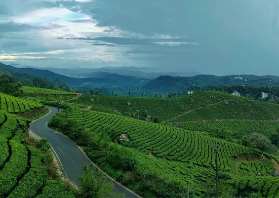 Second Mile View Point Munnar