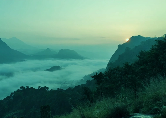 Chinnappara Kudy View Point, Munnar