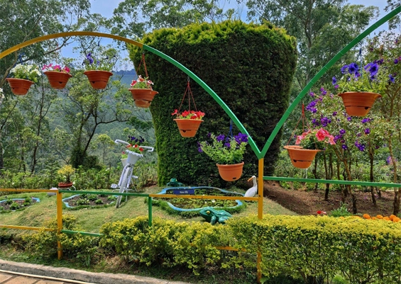 KFDC Floriculture Centre Munnar