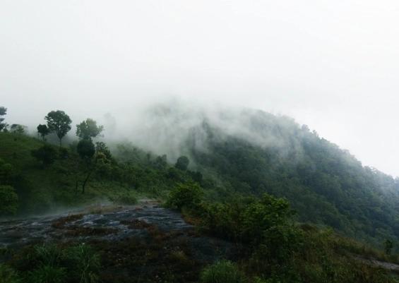 Kuthirakuthi Hills Munnar