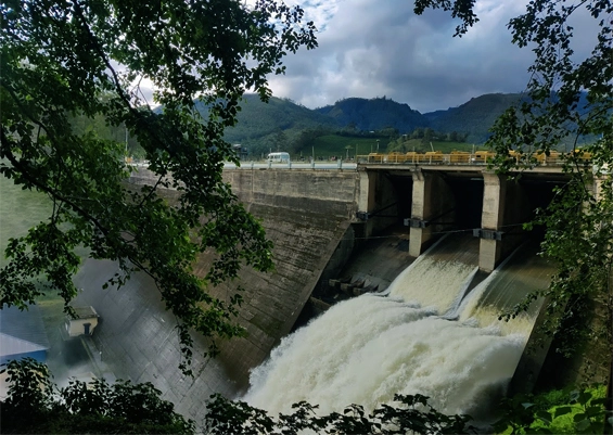 Mattupetty dam Munnar