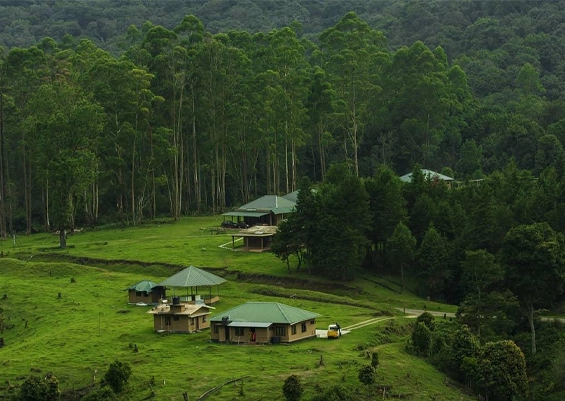 Pampadum Shola National Park