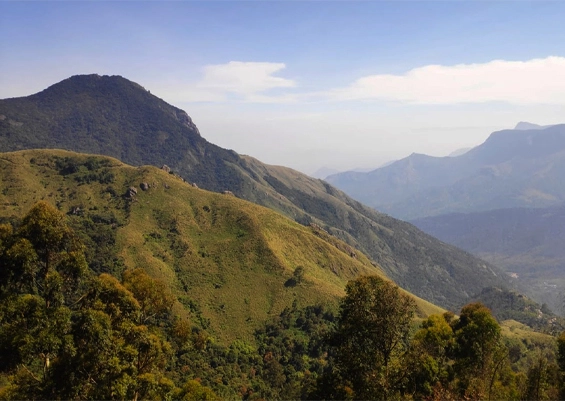 Top Station Munnar