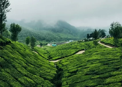 Vattavada Munnar