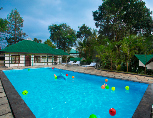 best honeymoon resorts in munnar