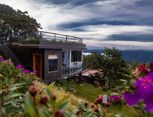 best honeymoon resorts in munnar