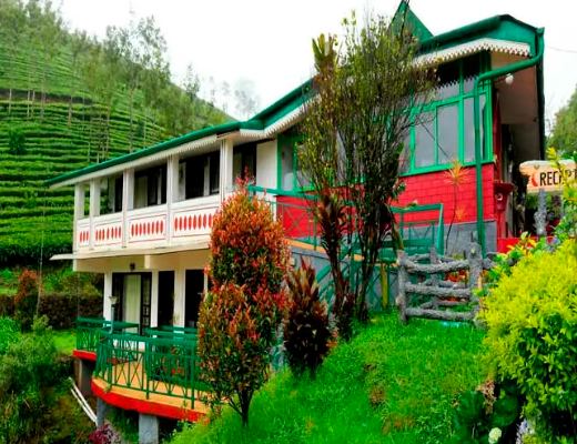 best honeymoon resorts in munnar